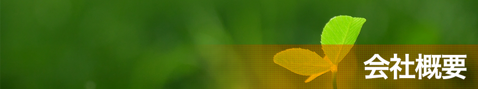 会社概要